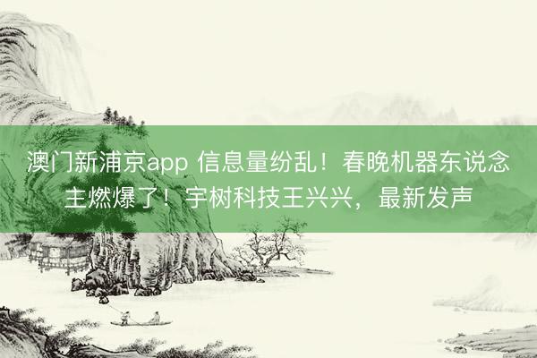 澳門新浦京app 信息量紛亂！春晚機器東說念主燃爆了！宇樹科技王興興，最新發聲