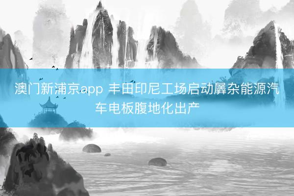 澳門新浦京app 豐田印尼工場啟動羼雜能源汽車電板腹地化出產(chǎn)